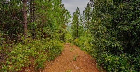 16397 Indiana Ranch Rd, Dobbins, CA 95935 Photo