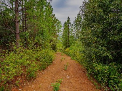 16397 Indiana Ranch Rd, Dobbins, CA 95935 Photo