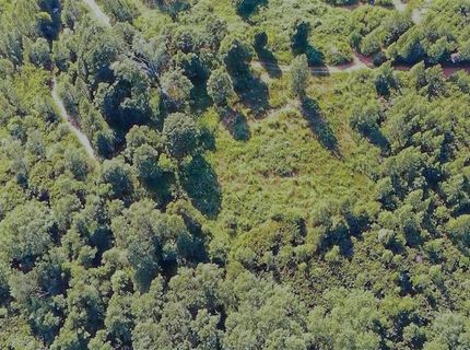 16397 Indiana Ranch Rd, Dobbins, CA 95935 Photo