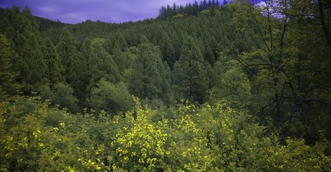 16397 Indiana Ranch Rd, Dobbins, CA 95935 Photo