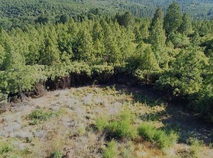 16397 Indiana Ranch Rd, Dobbins, CA 95935 Photo