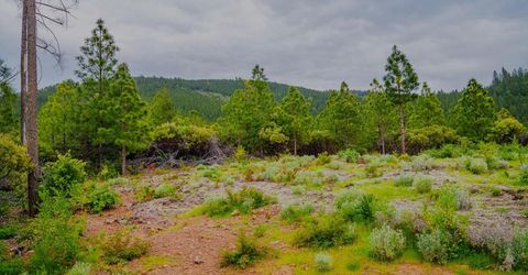 16397 Indiana Ranch Rd, Dobbins, CA 95935 Photo