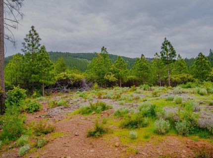 16397 Indiana Ranch Rd, Dobbins, CA 95935 Photo