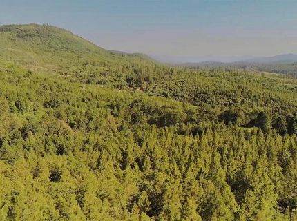 16397 Indiana Ranch Rd, Dobbins, CA 95935 Photo