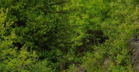 16397 Indiana Ranch Rd, Dobbins, CA 95935 Photo