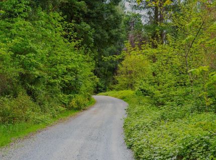 16397 Indiana Ranch Rd, Dobbins, CA 95935 Photo