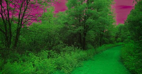 16397 Indiana Ranch Rd, Dobbins, CA 95935 Photo