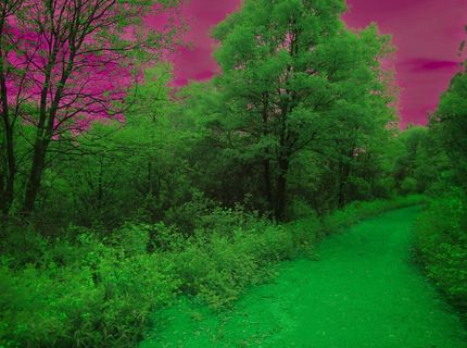 16397 Indiana Ranch Rd, Dobbins, CA 95935 Photo