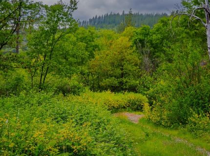 16397 Indiana Ranch Rd, Dobbins, CA 95935 Photo