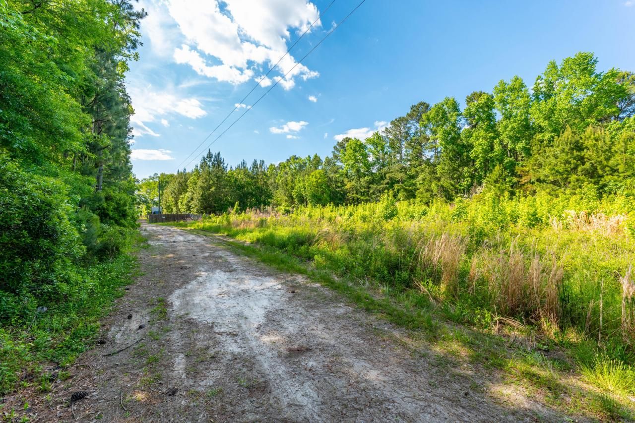 1099 Jedburg Road Photo 12