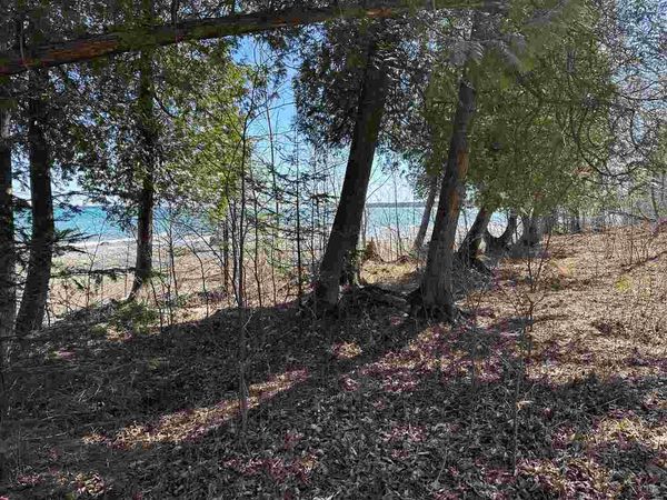 TBD Garden Island View, Unit Lots 180,, Beaver Island, MI 49782