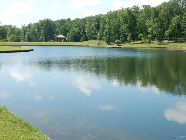 15 Winter Walk Way, Huntsville, AL 35803