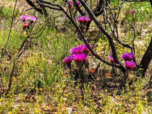 TBD FM 600, Haskell, TX 79521