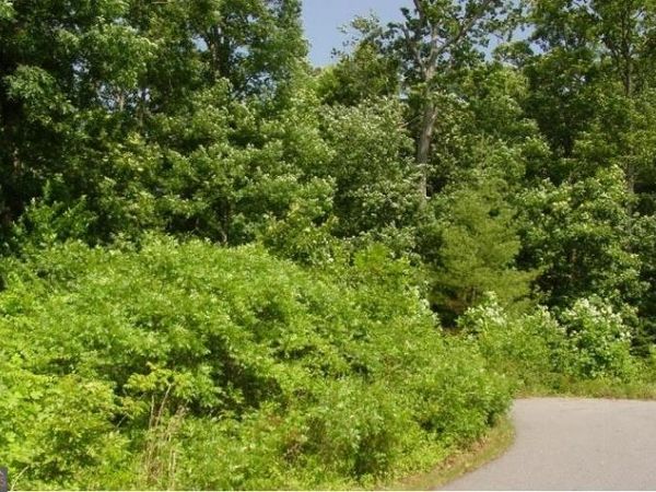 1481 Phillips Cove Drive, Hiawassee, GA 30546