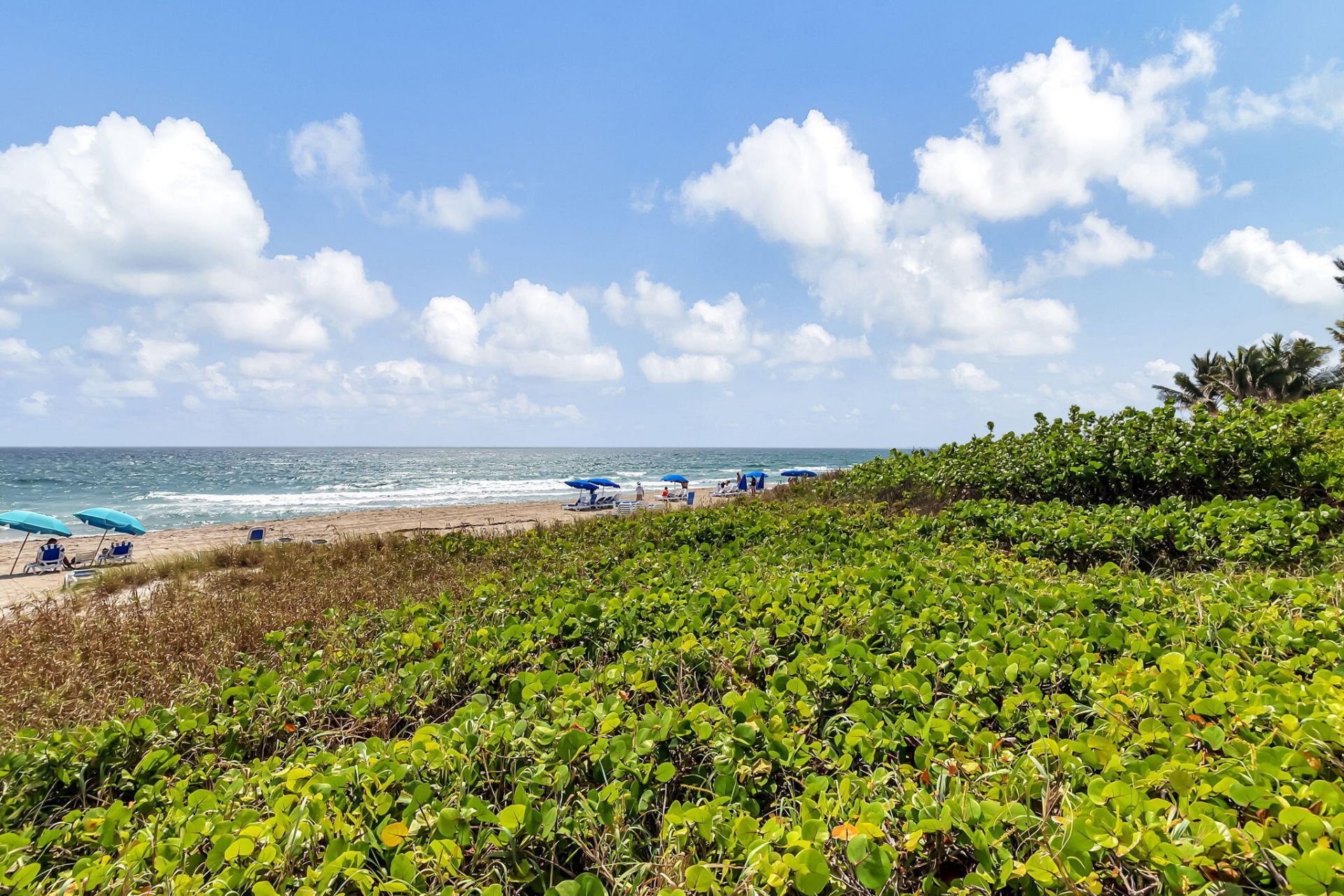 2727 S Ocean Boulevard, Unit 403, Highland Beach, FL 33487 Photo