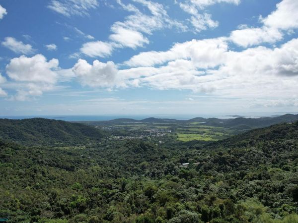 Interior CARR. PR#984, Fajardo, PR 00738