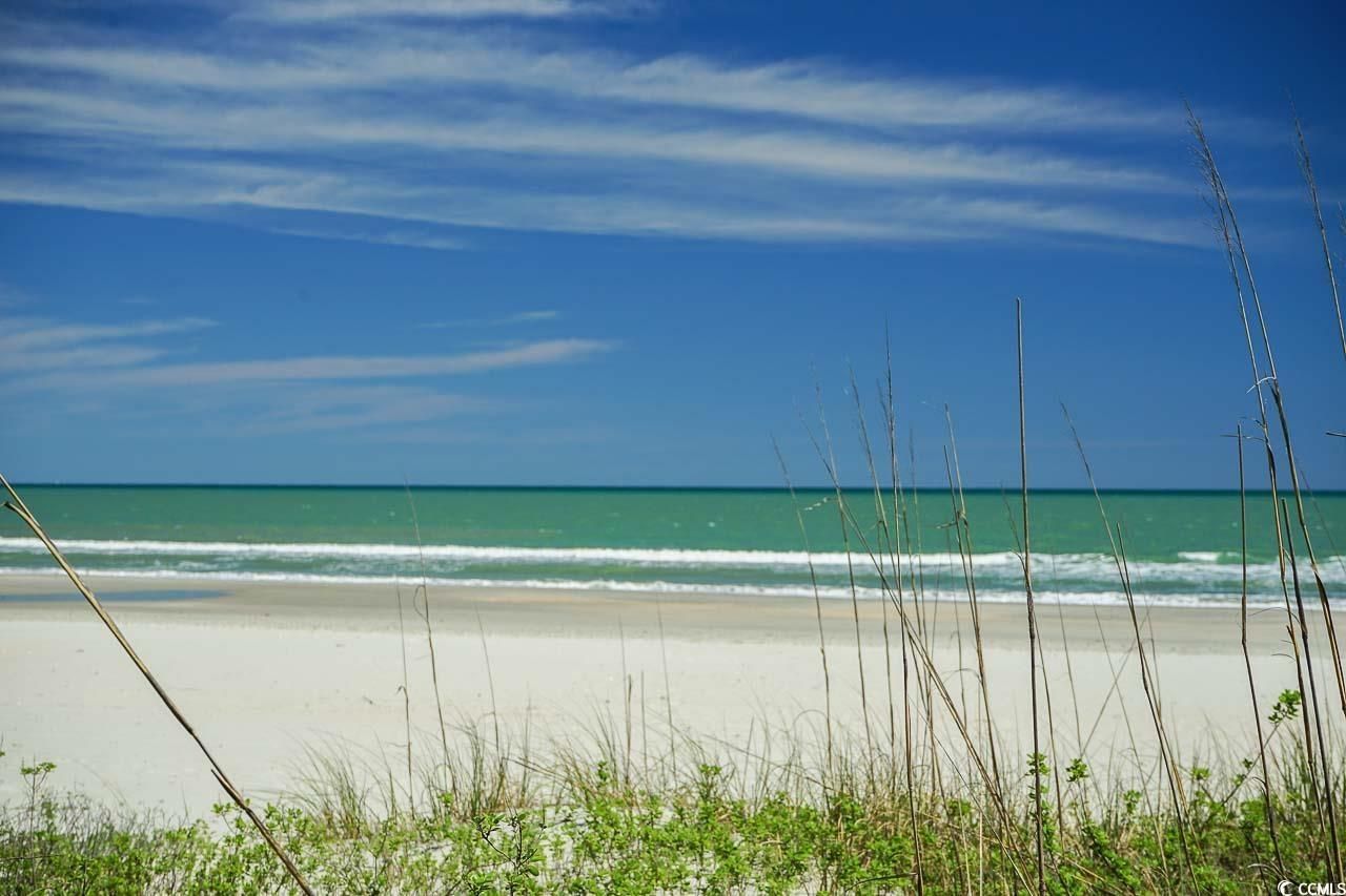 9994 Beach Club Dr. Photo 39