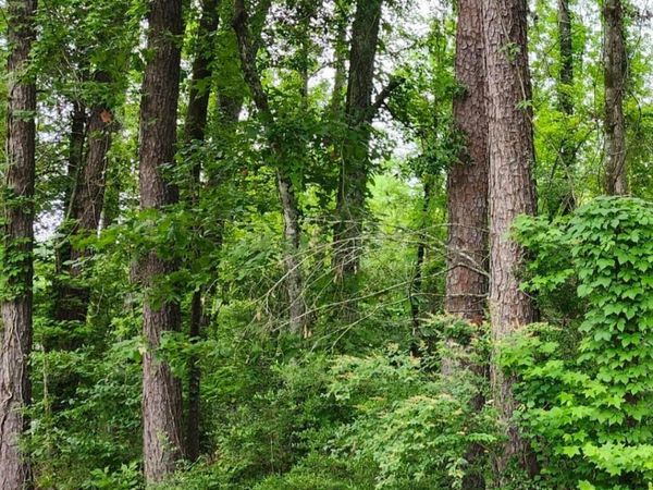 Lot 85 Baker Dr, Denham Springs, LA 70726