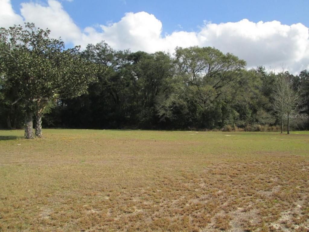 4411 N Orange Blossom Trail, Mount Dora, FL 32757 Photo