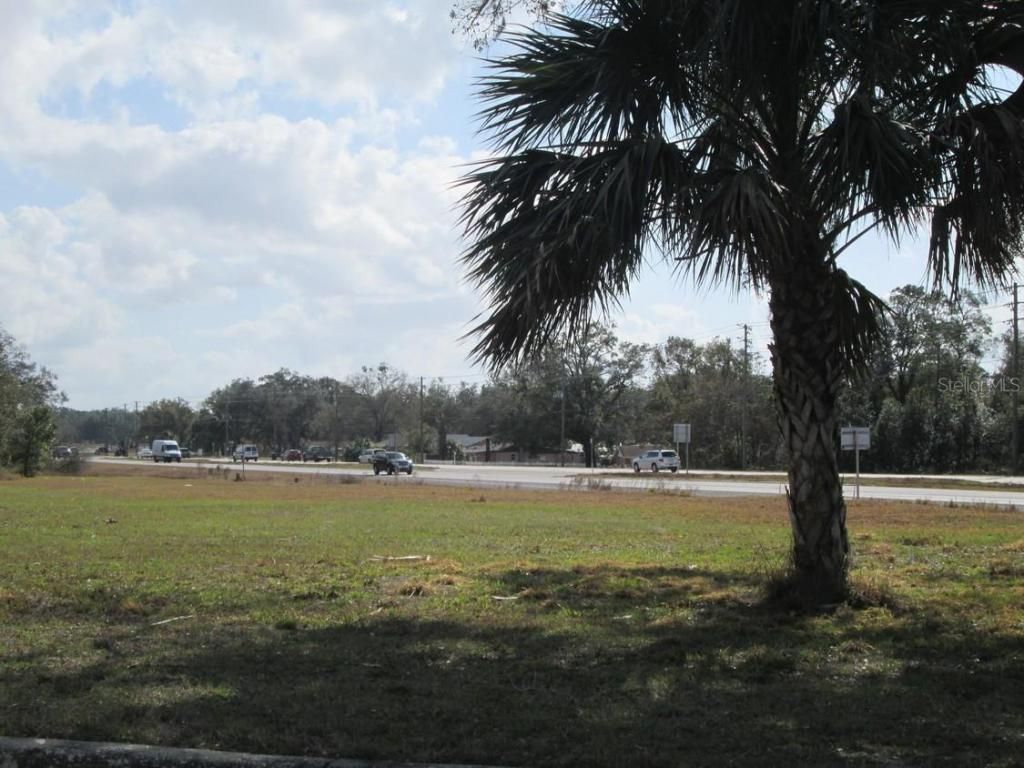 4411 N Orange Blossom Trail, Mount Dora, FL 32757 Photo