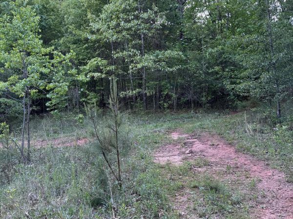 637 Brookdale Road, Toccoa, GA 30577