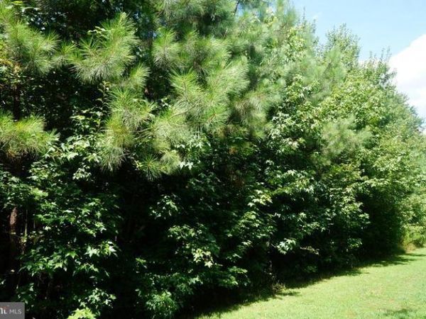 JERICHO ROAD, RUTHER GLEN, VA 22546