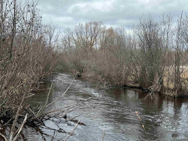 TBD McGillis Avenue, Caspian, MI 49915