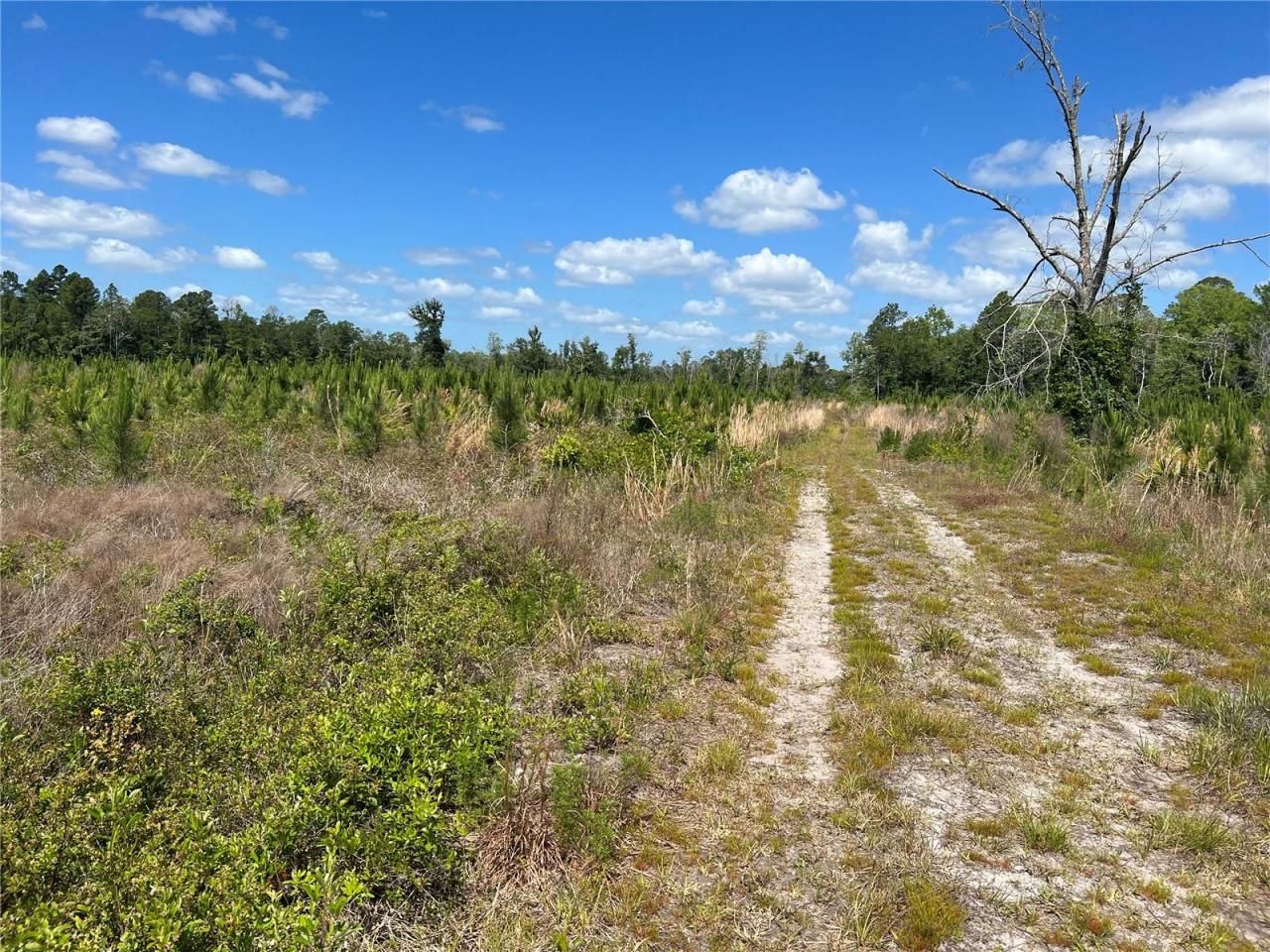 Hwy 40, Dunnellon, FL 34430 Photo