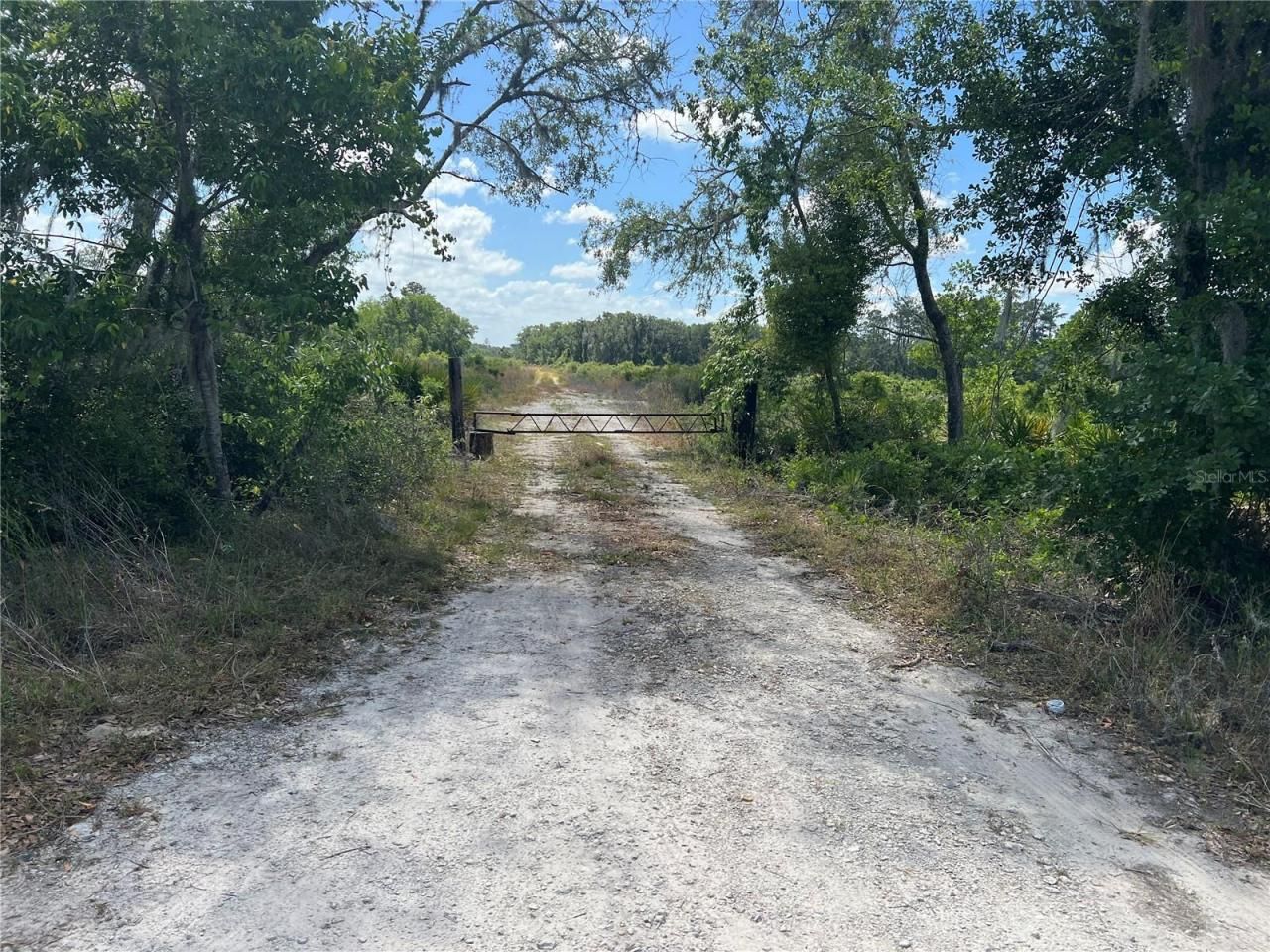 Hwy 40, Dunnellon, FL 34430 Photo