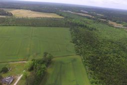 Tbd Fowler Rd. photo 4