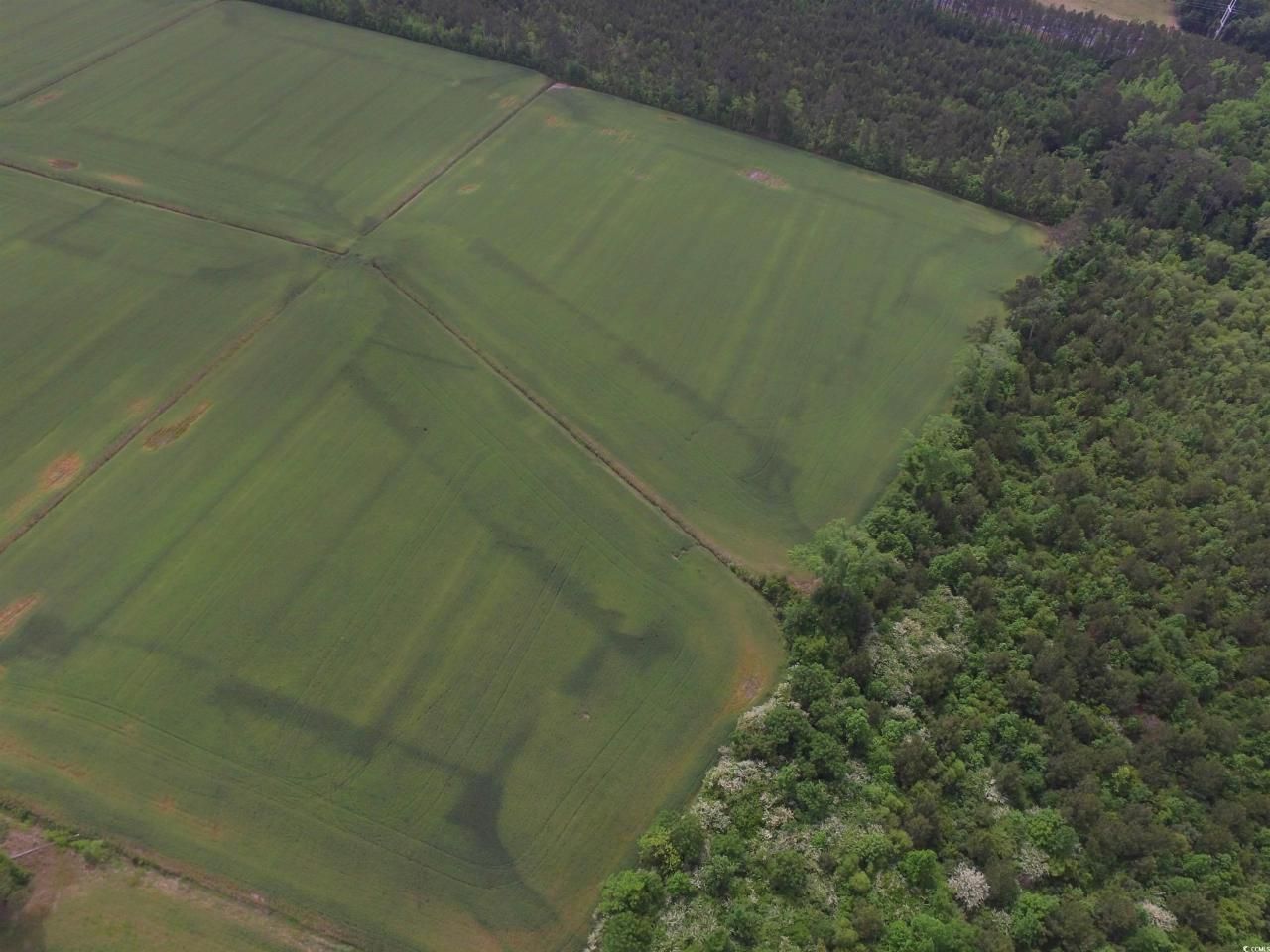 Tbd Fowler Rd. Photo 5