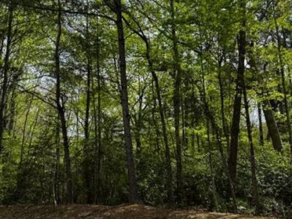 Lot 10 Red Head Lane, HEATHSVILLE, VA 22473