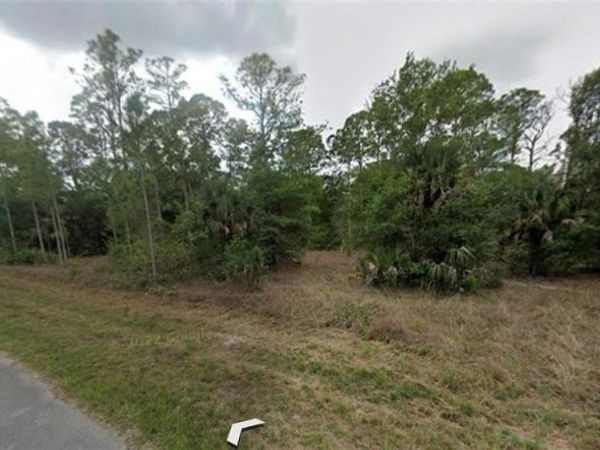1007 LEROY AVENUE, LEHIGH ACRES, FL 33972