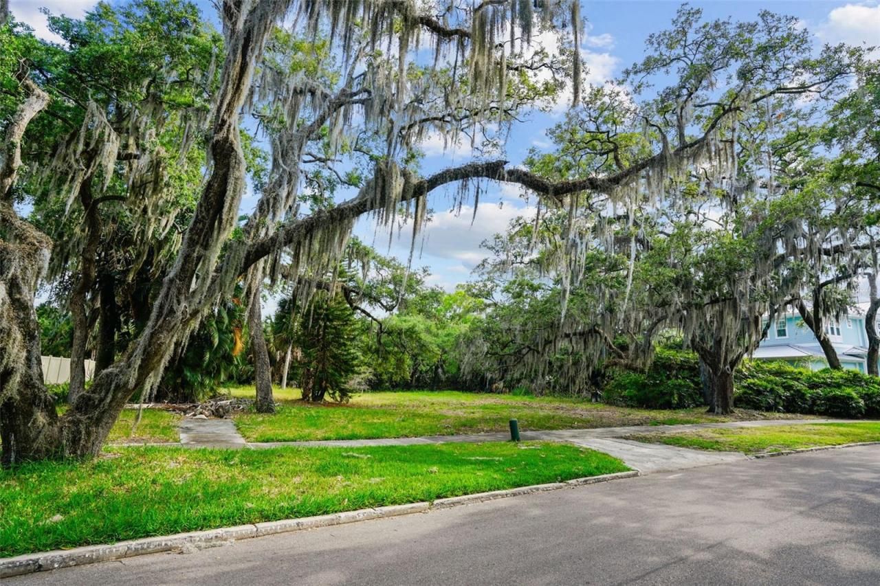 4806 W Beachway Drive, Tampa, FL 33609 Photo