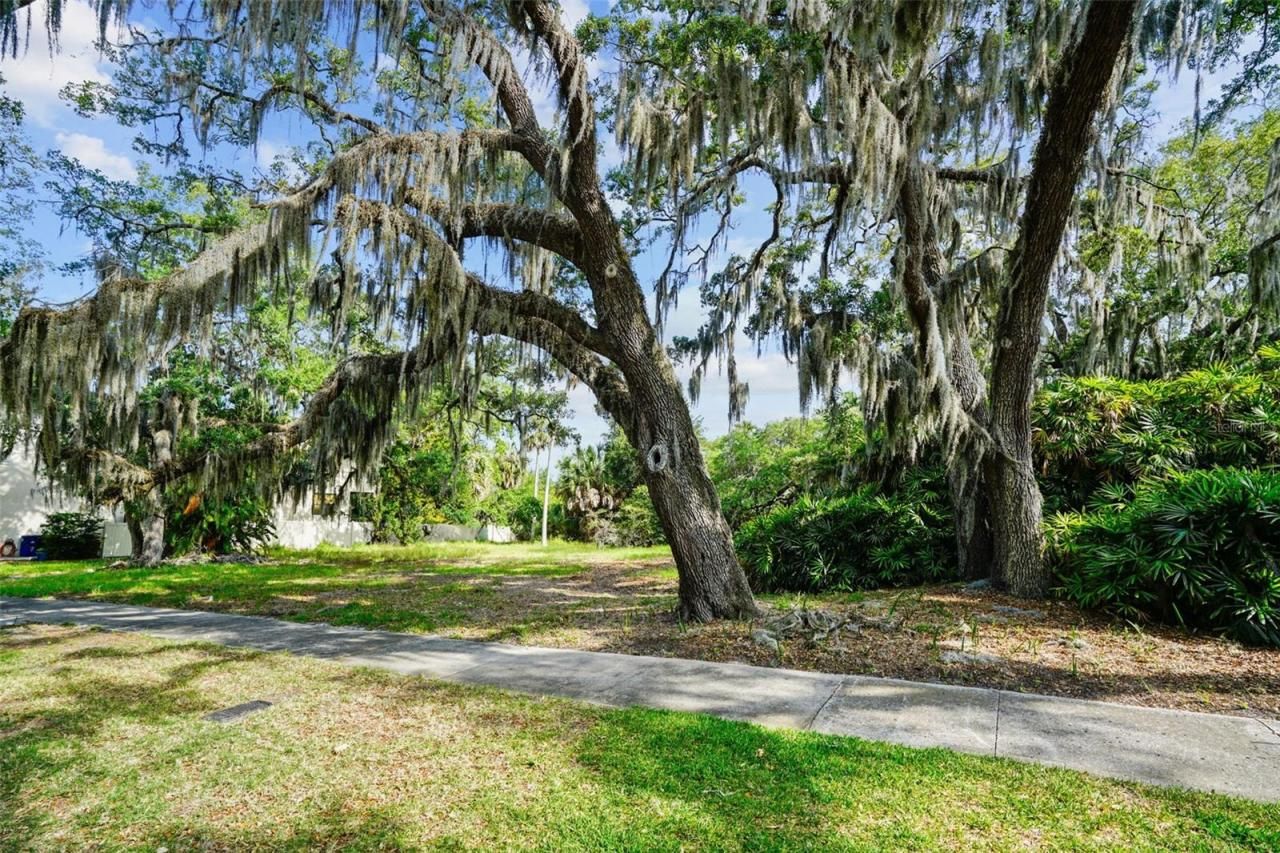 4806 W Beachway Drive, Tampa, FL 33609 Photo
