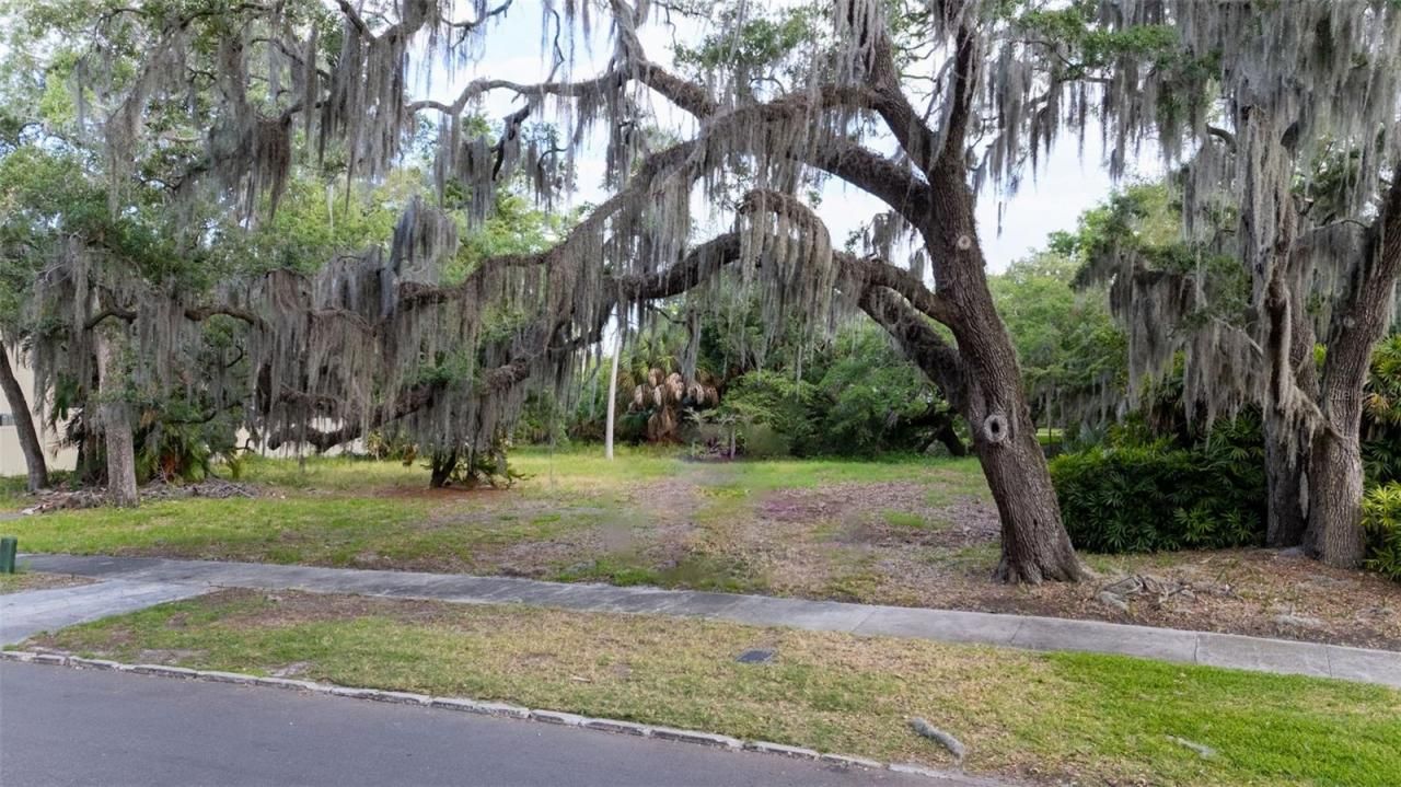 4806 W Beachway Drive, Tampa, FL 33609 Photo