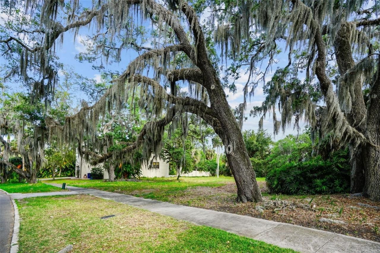 4806 W Beachway Drive, Tampa, FL 33609 Photo