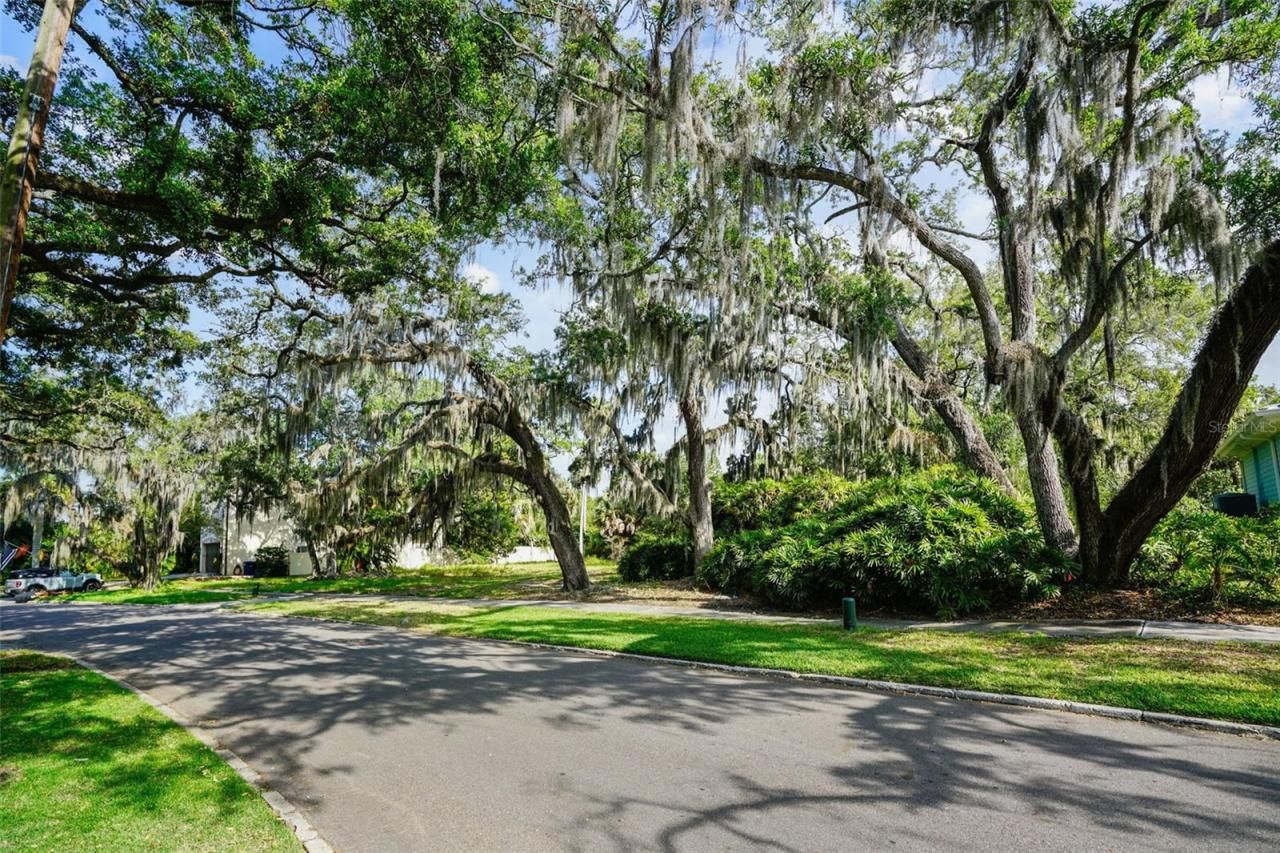 4806 W Beachway Drive, Tampa, FL 33609 Photo