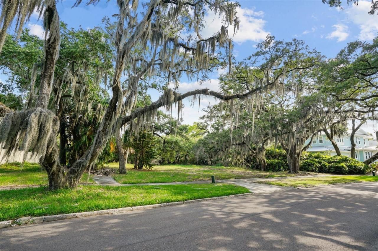 4806 W Beachway Drive, Tampa, FL 33609 Photo