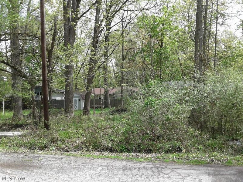 Kenilworth Avenue, Sheffield Lake, OH 44054 Photo 2