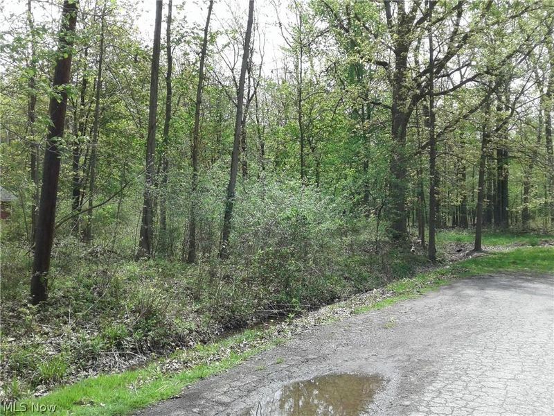 Kenilworth Avenue, Sheffield Lake, OH 44054 Photo 3