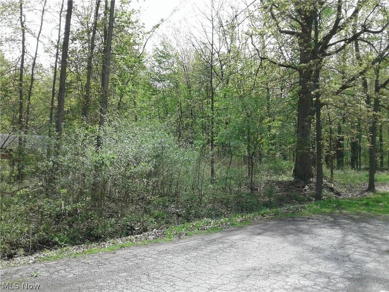 Kenilworth Avenue, Sheffield Lake, OH 44054 Photo 4