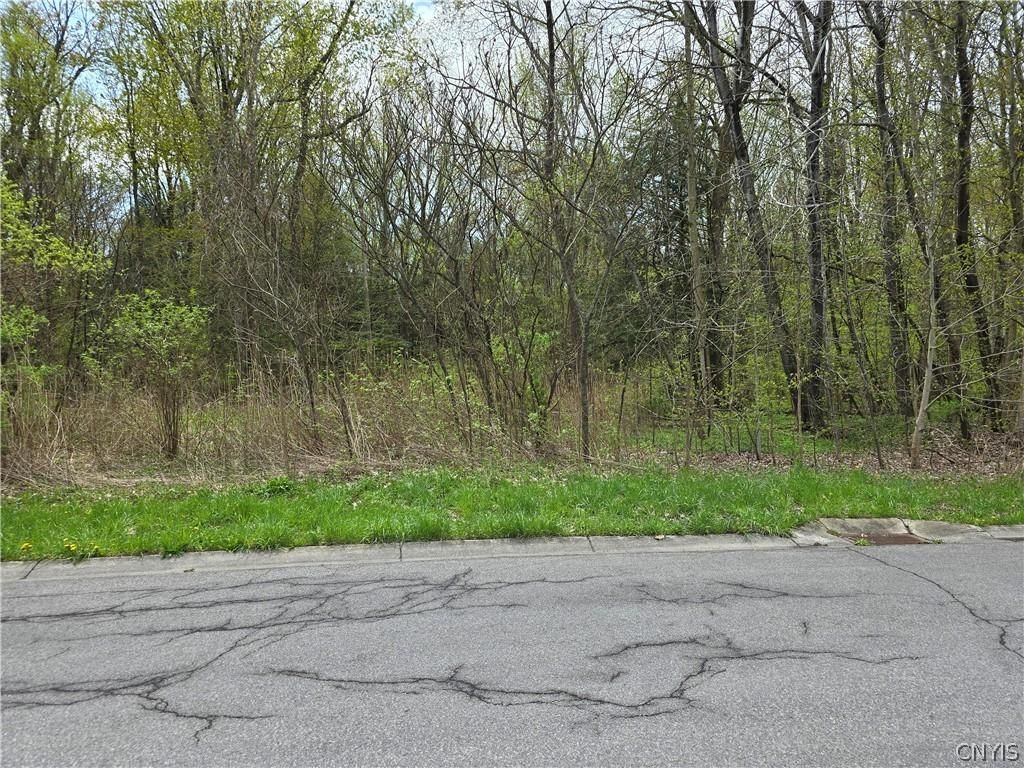 106 Benedict Manor Drive, Kirkville, NY 13082 Main Photo