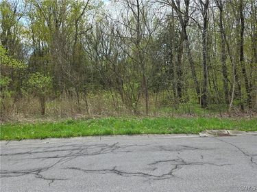 106 Benedict Manor Drive, Kirkville, NY 13082