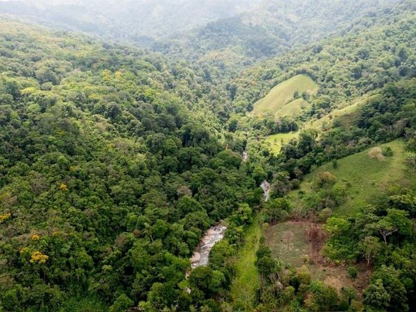 000 BAJO LOS INDIOS, PUNTARENAS, FL 00000