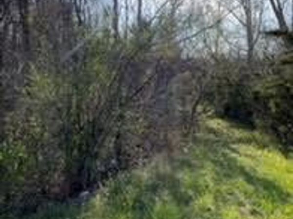 6025 Gardner Road, Altamont, NY 12009