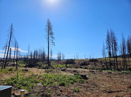 5144 String Canyon Ct, Grizzly Flats, CA 95636 Photo