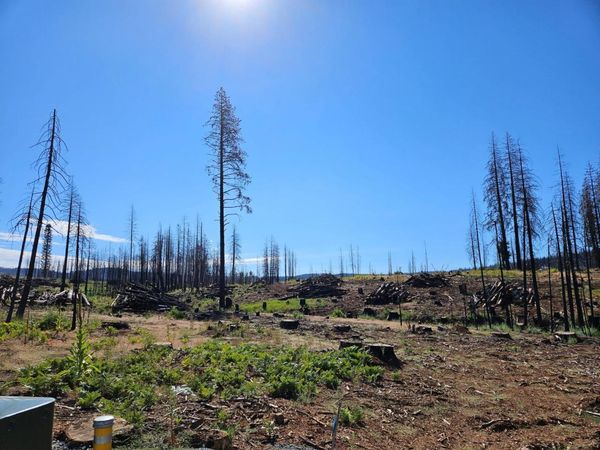 5144 String Canyon Ct, Grizzly Flats, CA 95636