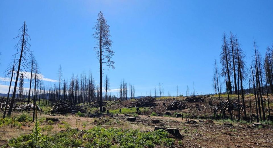 5144 String Canyon Ct, Grizzly Flats, CA 95636 Photo