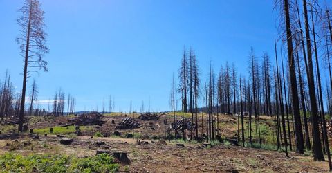 5144 String Canyon Ct, Grizzly Flats, CA 95636 Photo